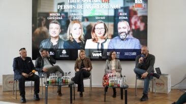 Micro sau SRL – cum alegi forma juridică potrivită pentru business în România